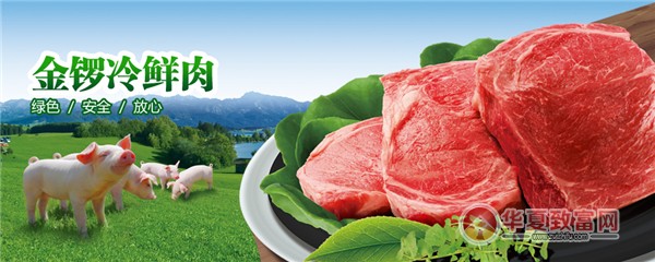金锣冷鲜肉加盟